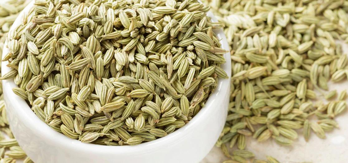 Fennel oil