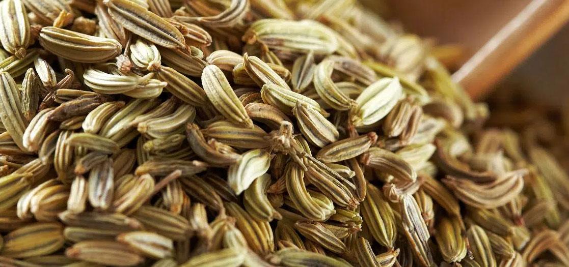 Fennel Oleoresin