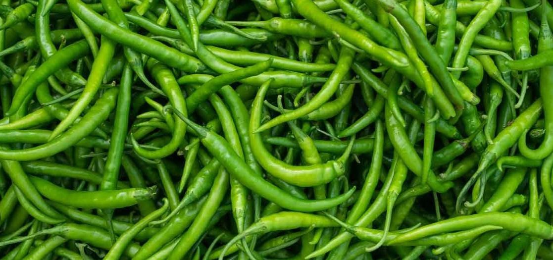 Green chilli Oleoresin