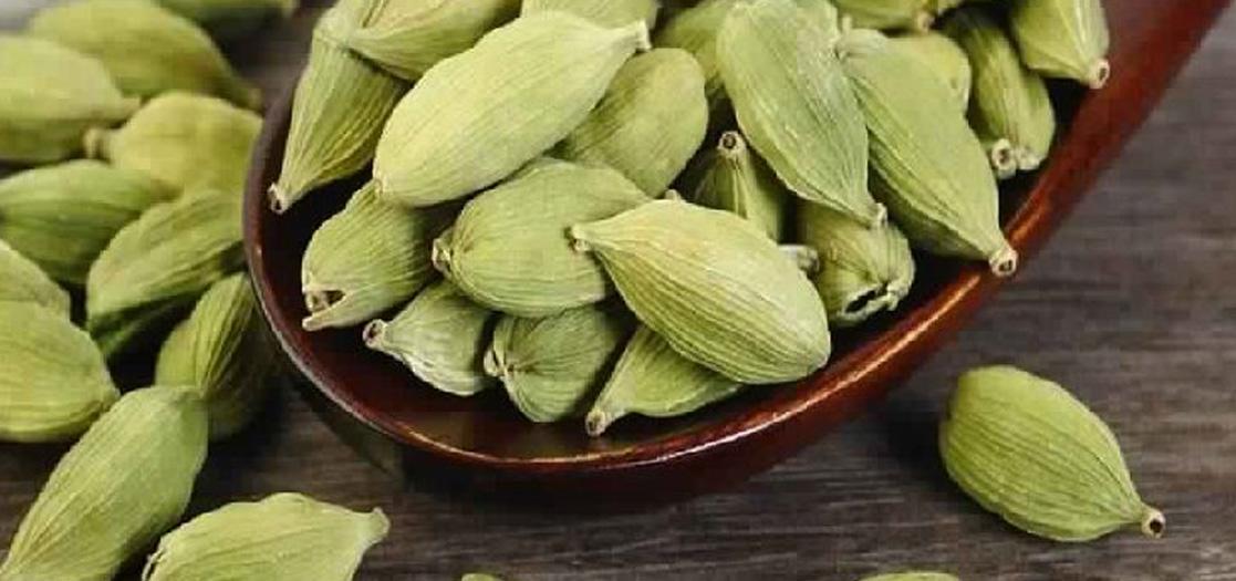 Cardamom Oil