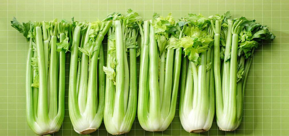 Celery Oil