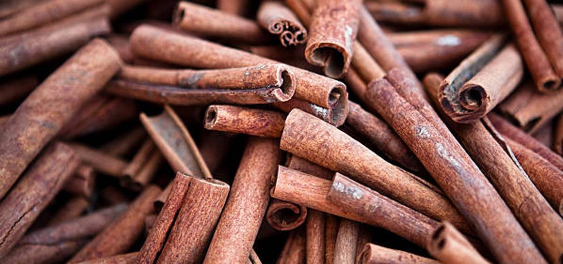 Cinnamon Bark Oil