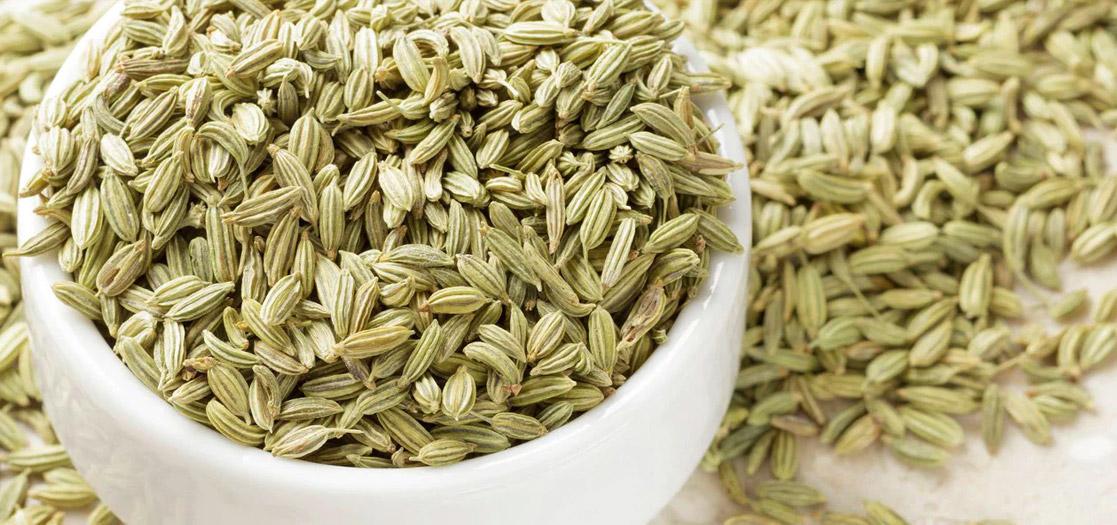 Fennel Oil