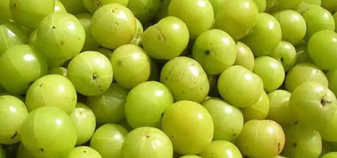 Amla