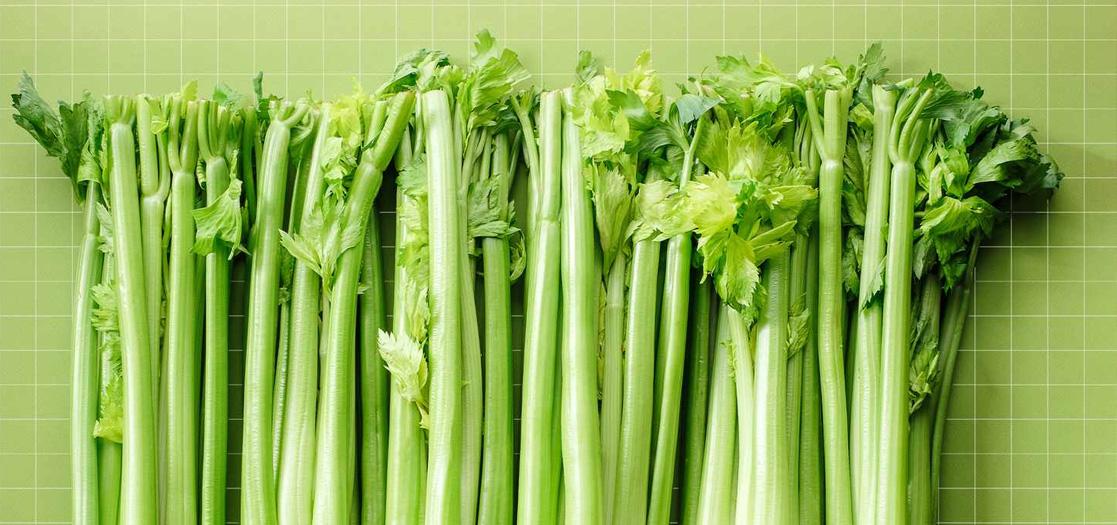 Celery Oleoresin